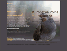 Tablet Screenshot of kuropatwy.pl